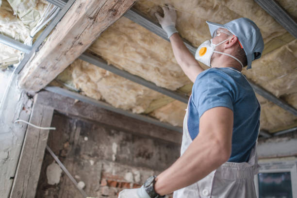 Best Wall Insulation Contractor  in Trinity, AL