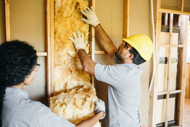 Best Attic Insulation Installation  in Trinity, AL